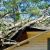 Varnell Fallen Tree Damage by MRS Restoration